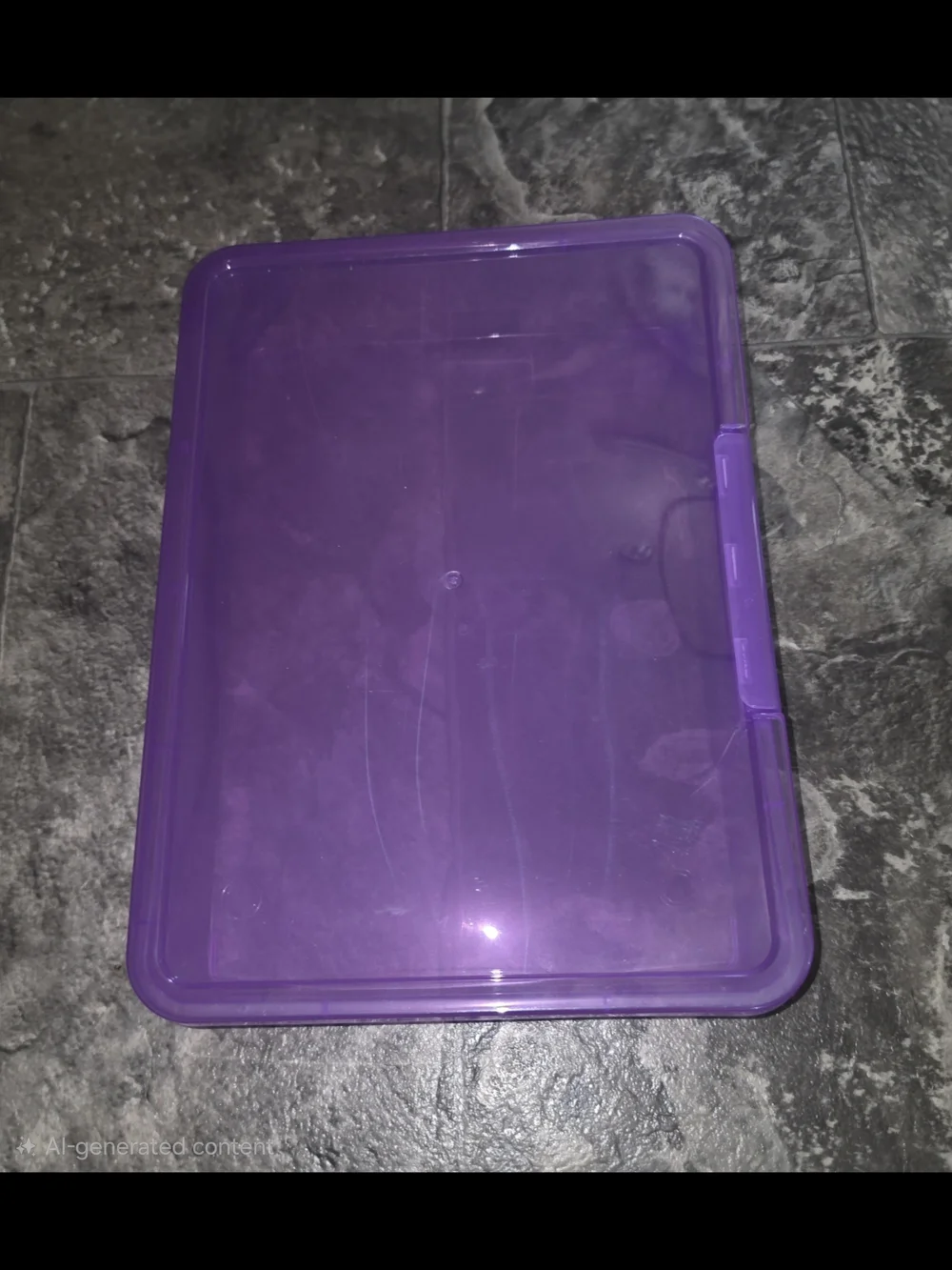 Purple Transparent Plastic Storage Case BNIB